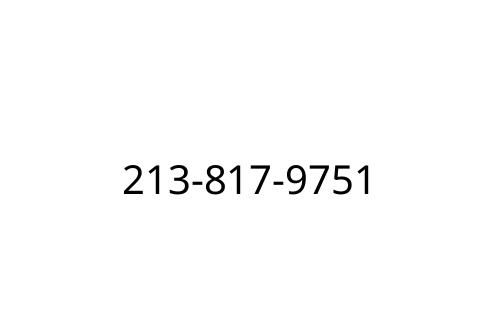 213-817-9751
