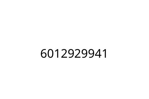 6012929941