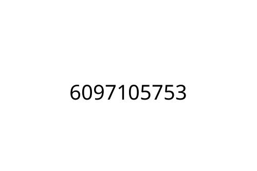 6097105753