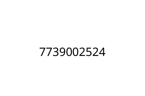 7739002524