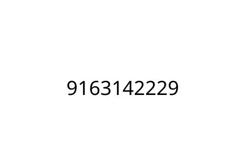 9163142229