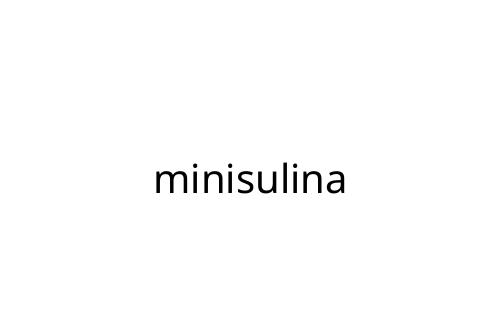minisulina