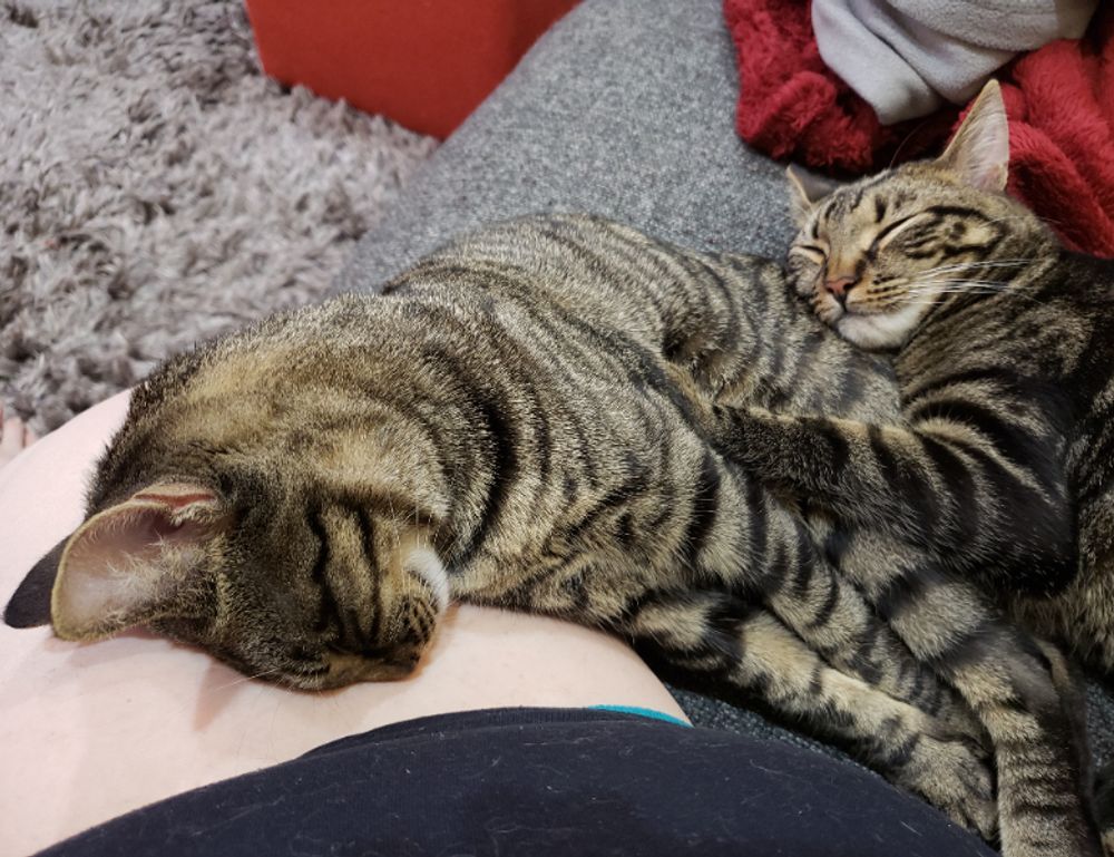 can i run widdeadvi games