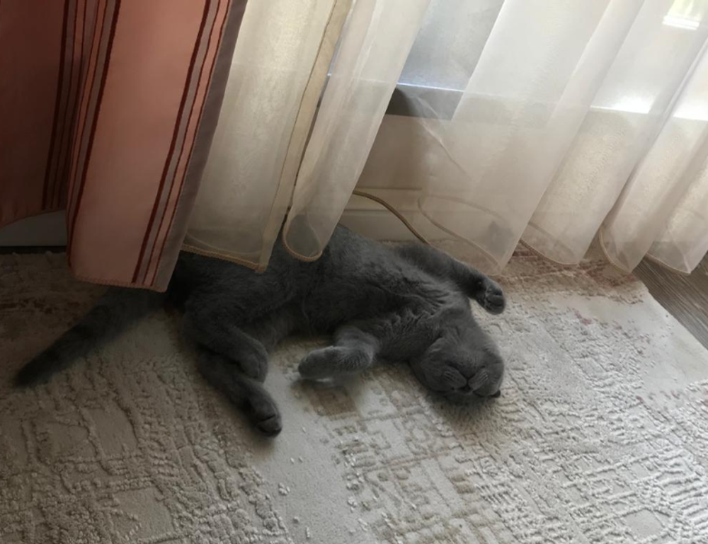 why can't i play game playonit55