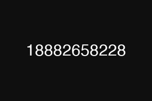 18882658228
