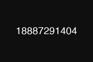 18887291404