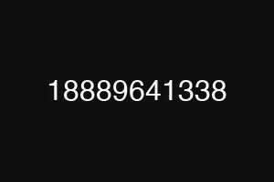 18889641338