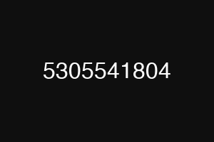 5305541804