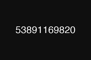 53891169820