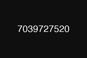 7039727520