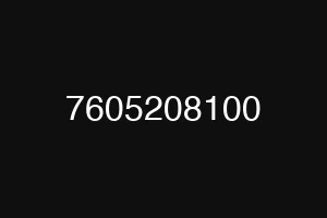 7605208100