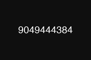 9049444384