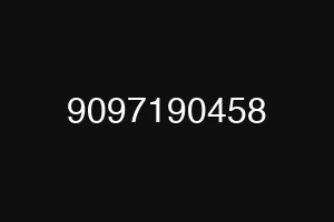 9097190458