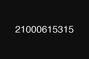 21000615315