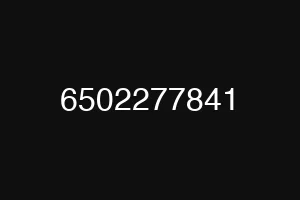 6502277841