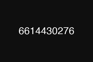 6614430276