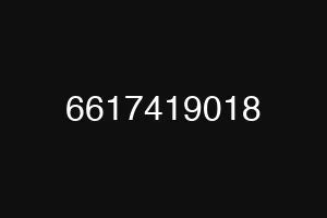 6617419018
