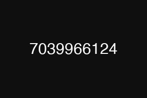7039966124