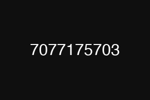 7077175703