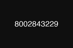 8002843229