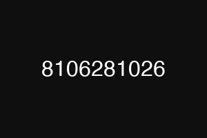 8106281026