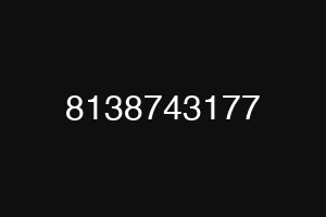 8138743177