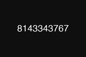 8143343767