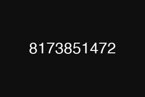 8173851472