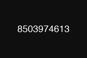 8503974613