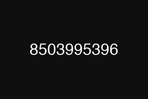 8503995396
