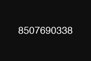 8507690338
