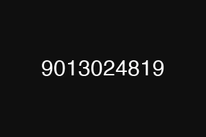 9013024819
